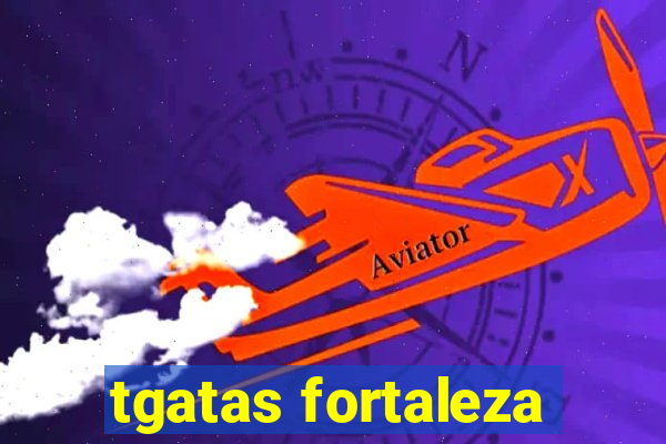 tgatas fortaleza